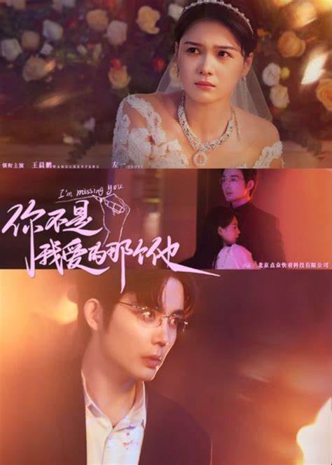 你不是我爱的那个他全集