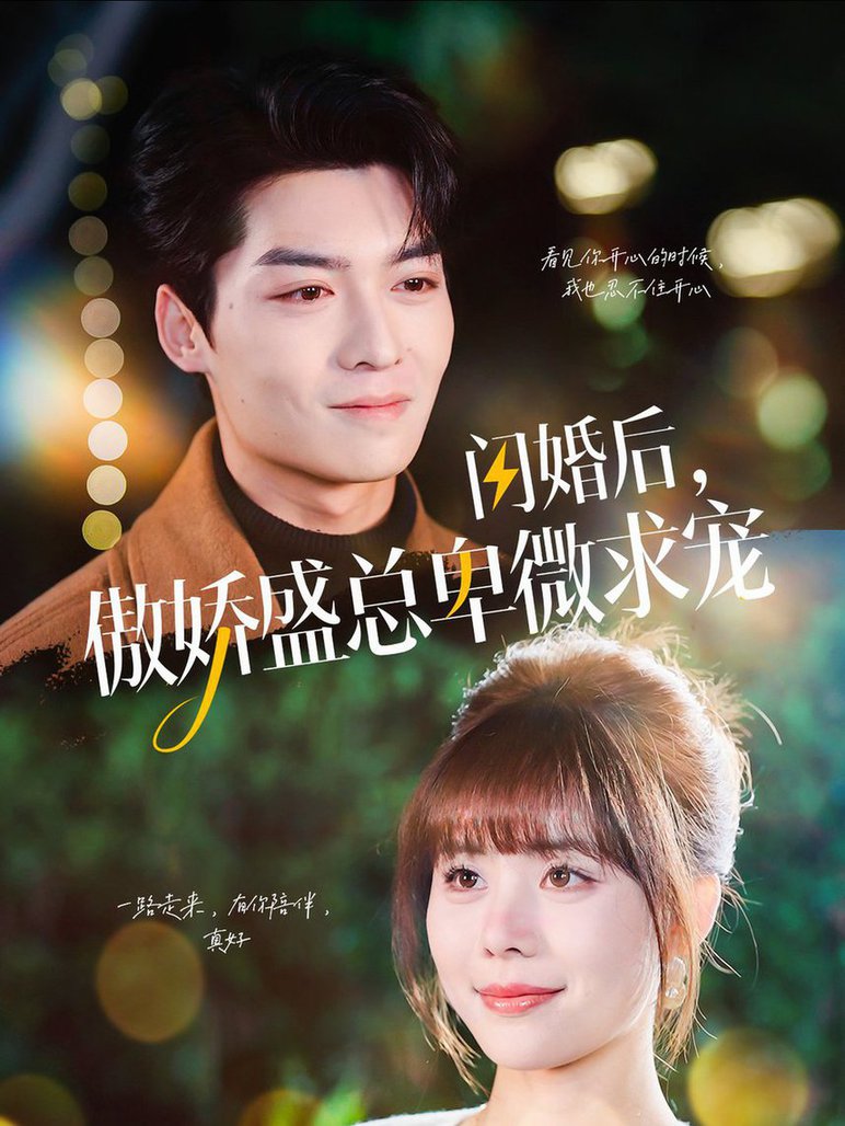闪婚后傲娇盛总卑微求宠全集