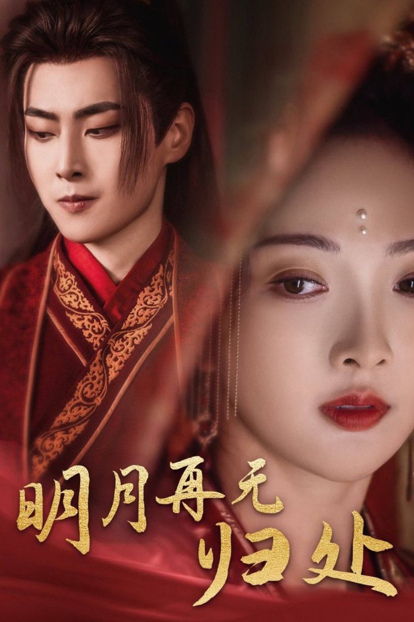 明月再无归处全集