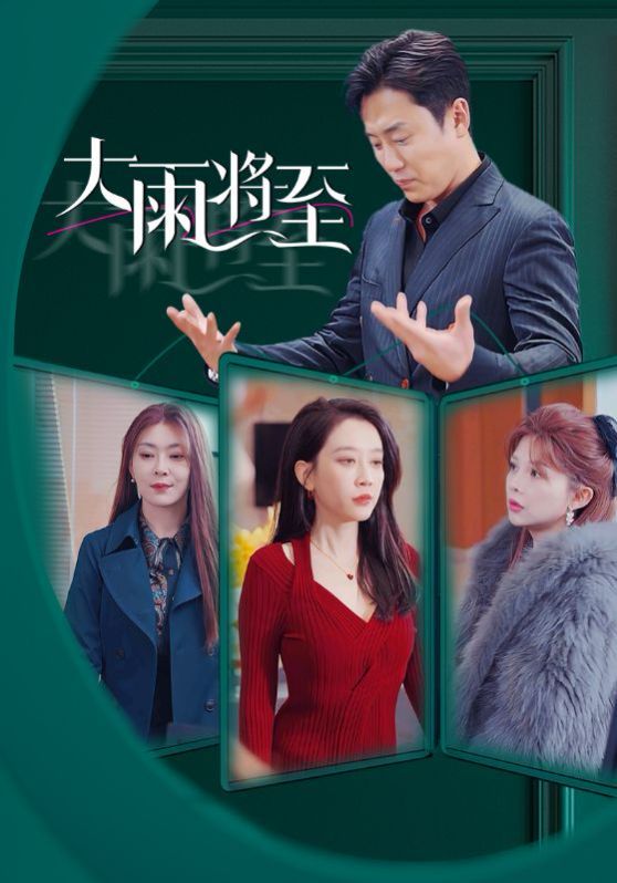 大雨将至全集