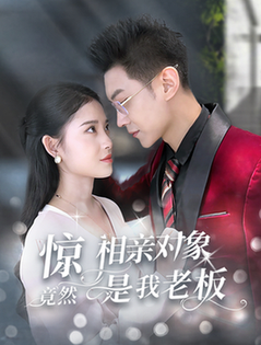 惊相亲对象竟然是我老板全集