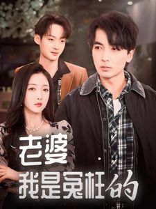 老婆我是冤枉的全集