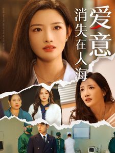爱意消失在人海全集