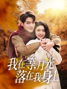 我在等月光落在我身上全集