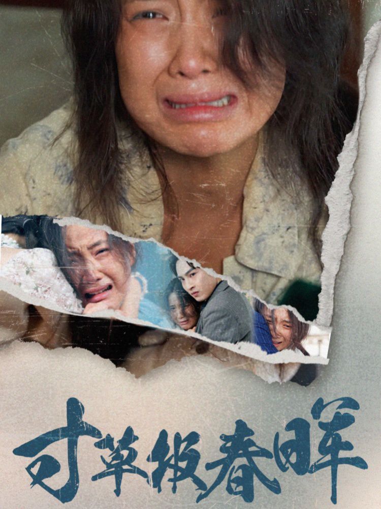 寸草报春晖全集