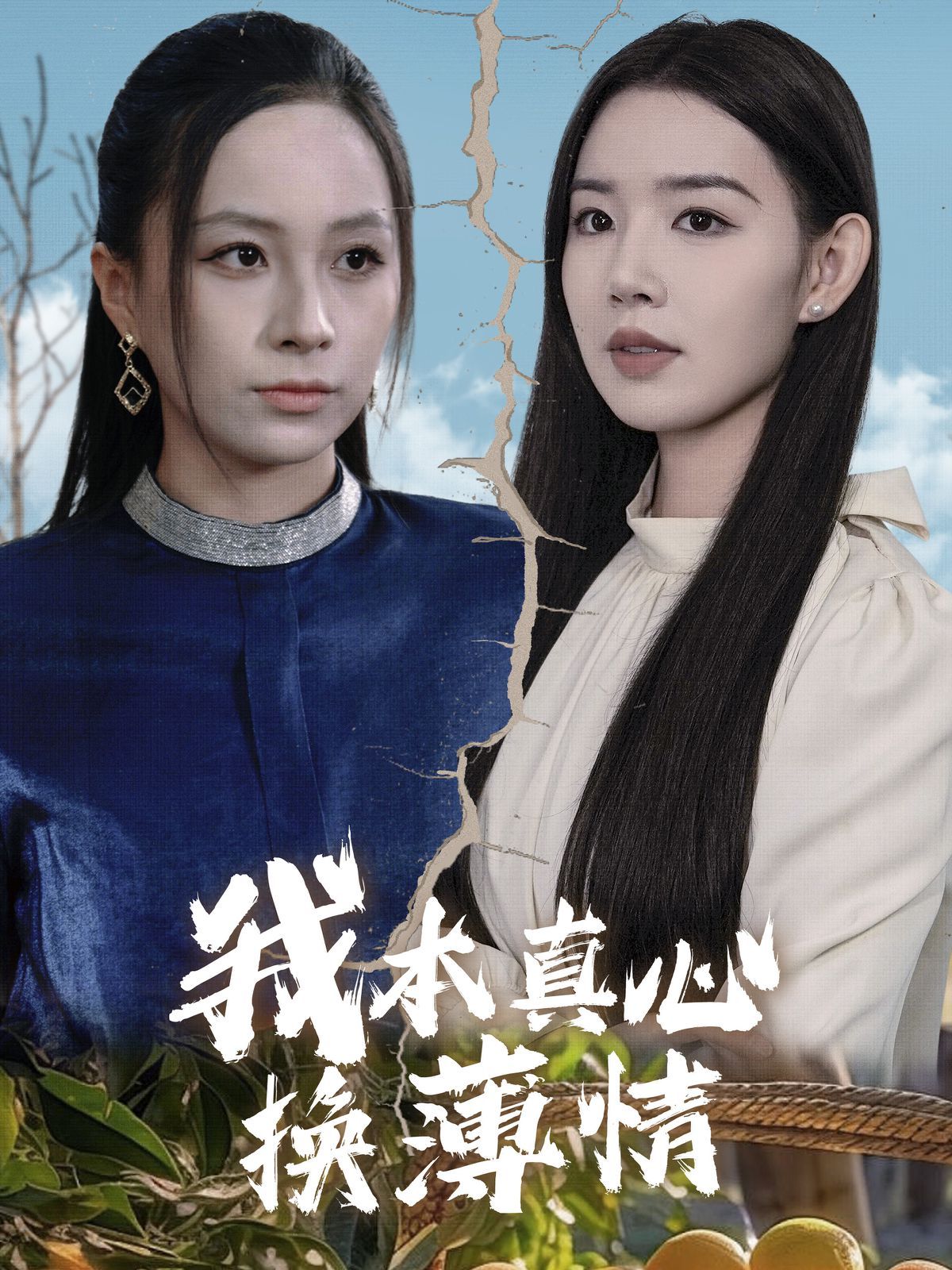 我本真心换薄情全集