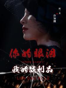 你的眼泪我的战利品全集