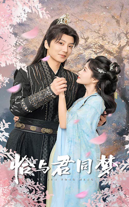 恰与君同梦全集