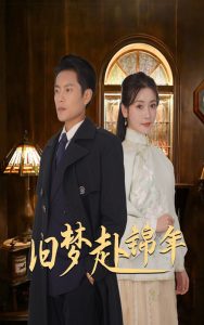 旧梦赴锦年全集