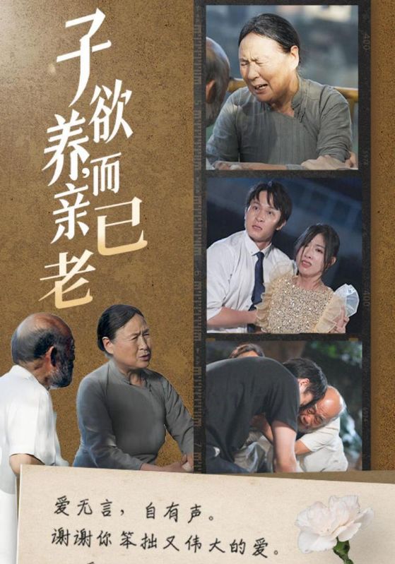 子欲养，而亲已老全集