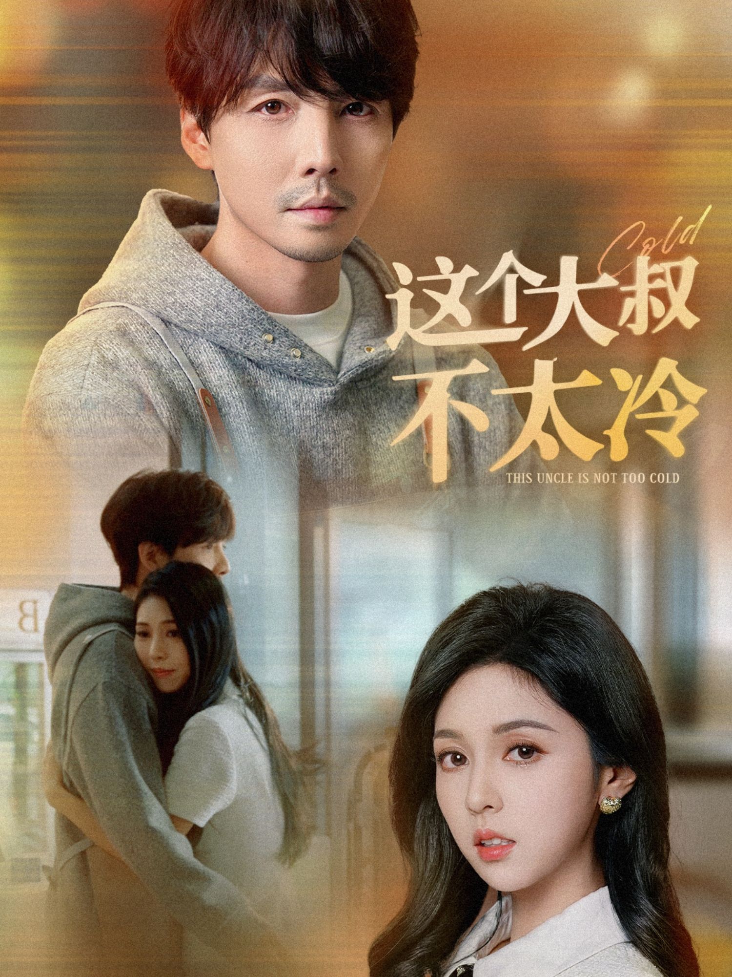 这个大叔不太冷全集