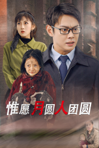 惟愿月圆人团圆全集