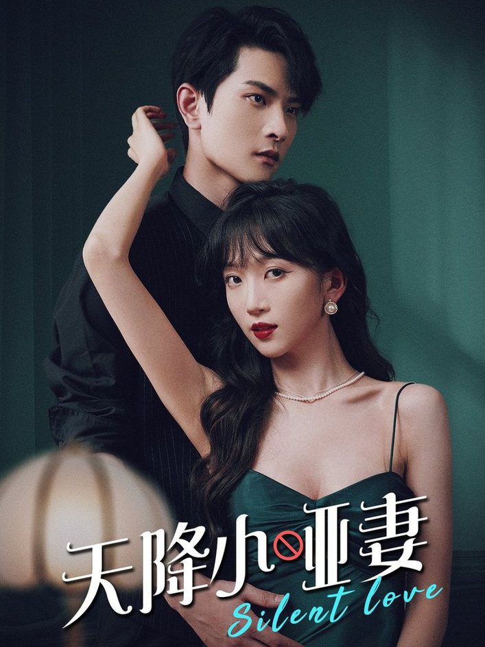 天降小哑妻全集