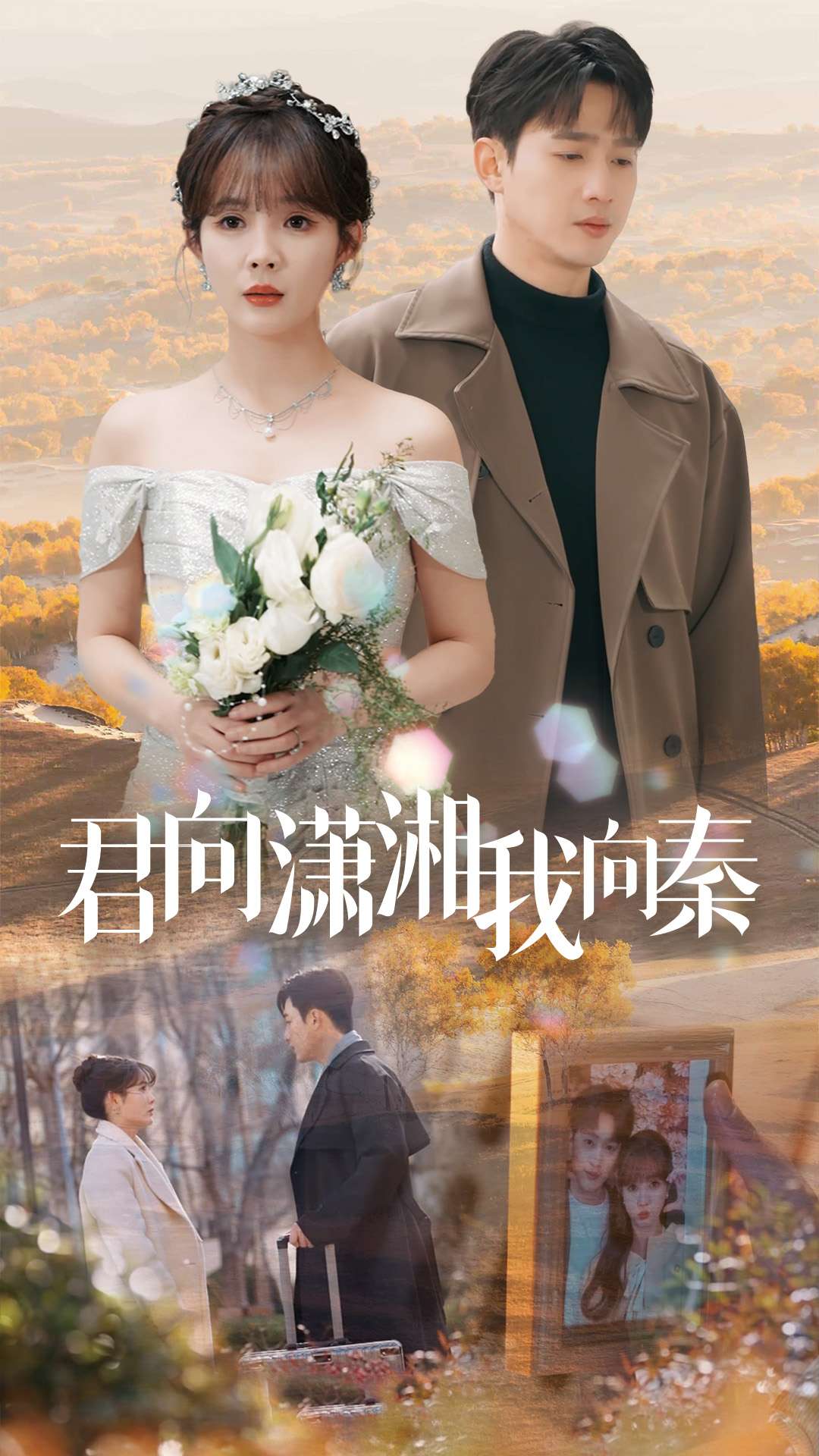 君向潇湘我向秦全集