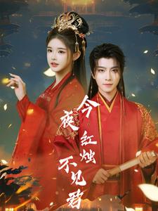 今夜红烛不见君全集