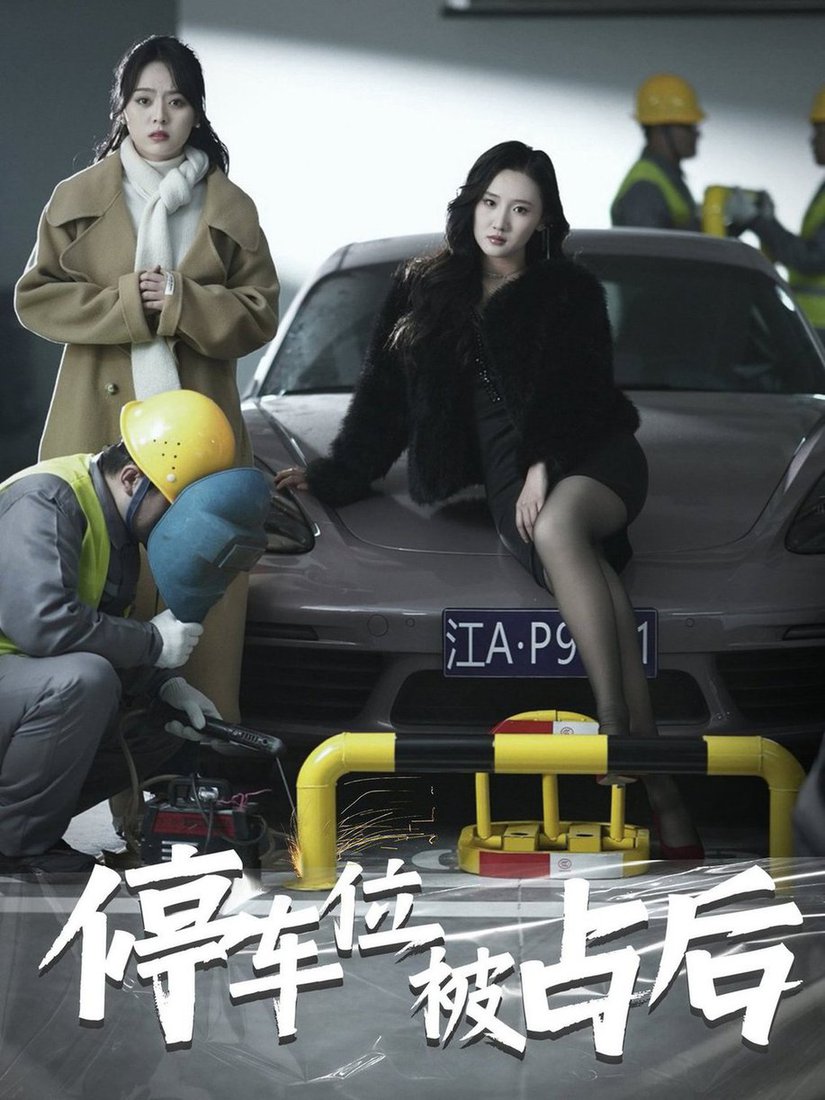 停车位被占后全集