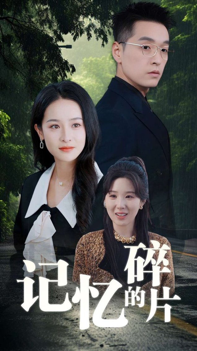 记忆的碎片全集