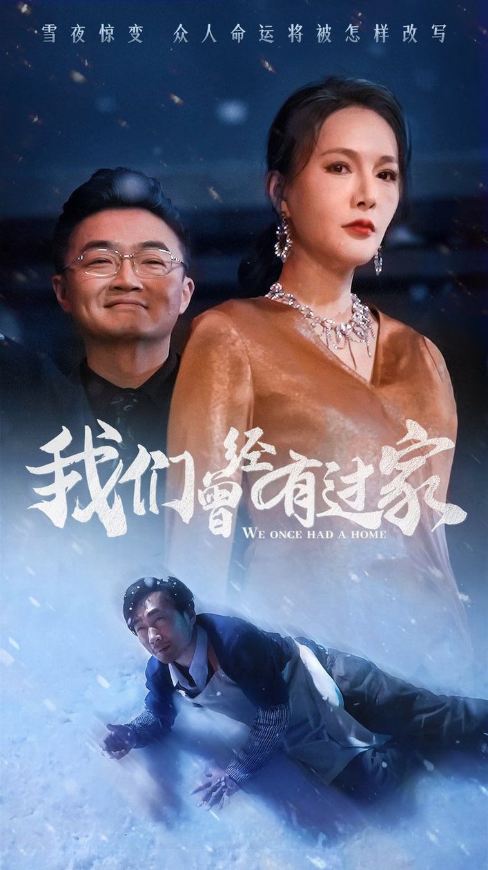 我们曾经有过家全集