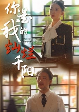 你是我的灿烂千阳全集