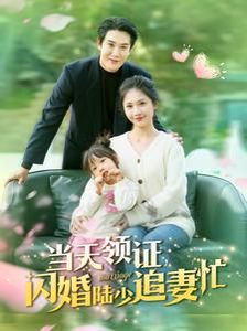 当天领证闪婚陆少追妻忙全集
