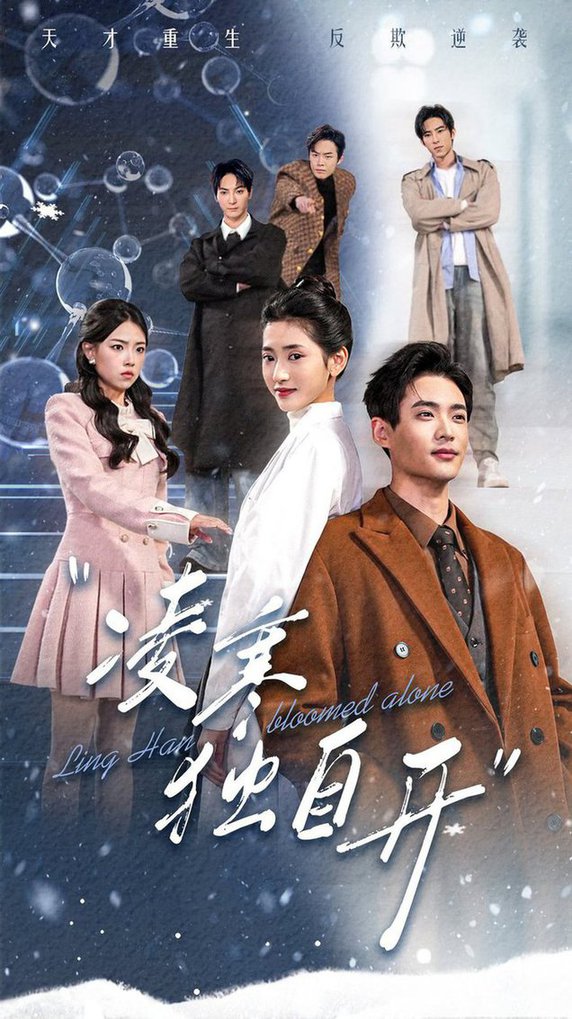 凌寒独自开全集