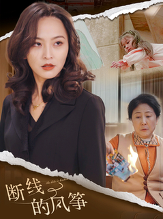断线的风筝全集