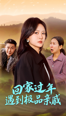 回家过年遇到极品亲戚全集