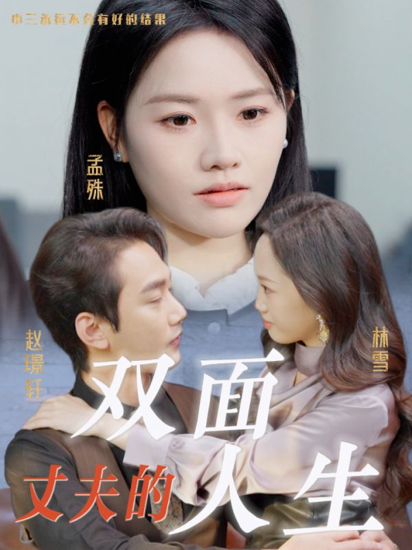 丈夫的双面人生全集