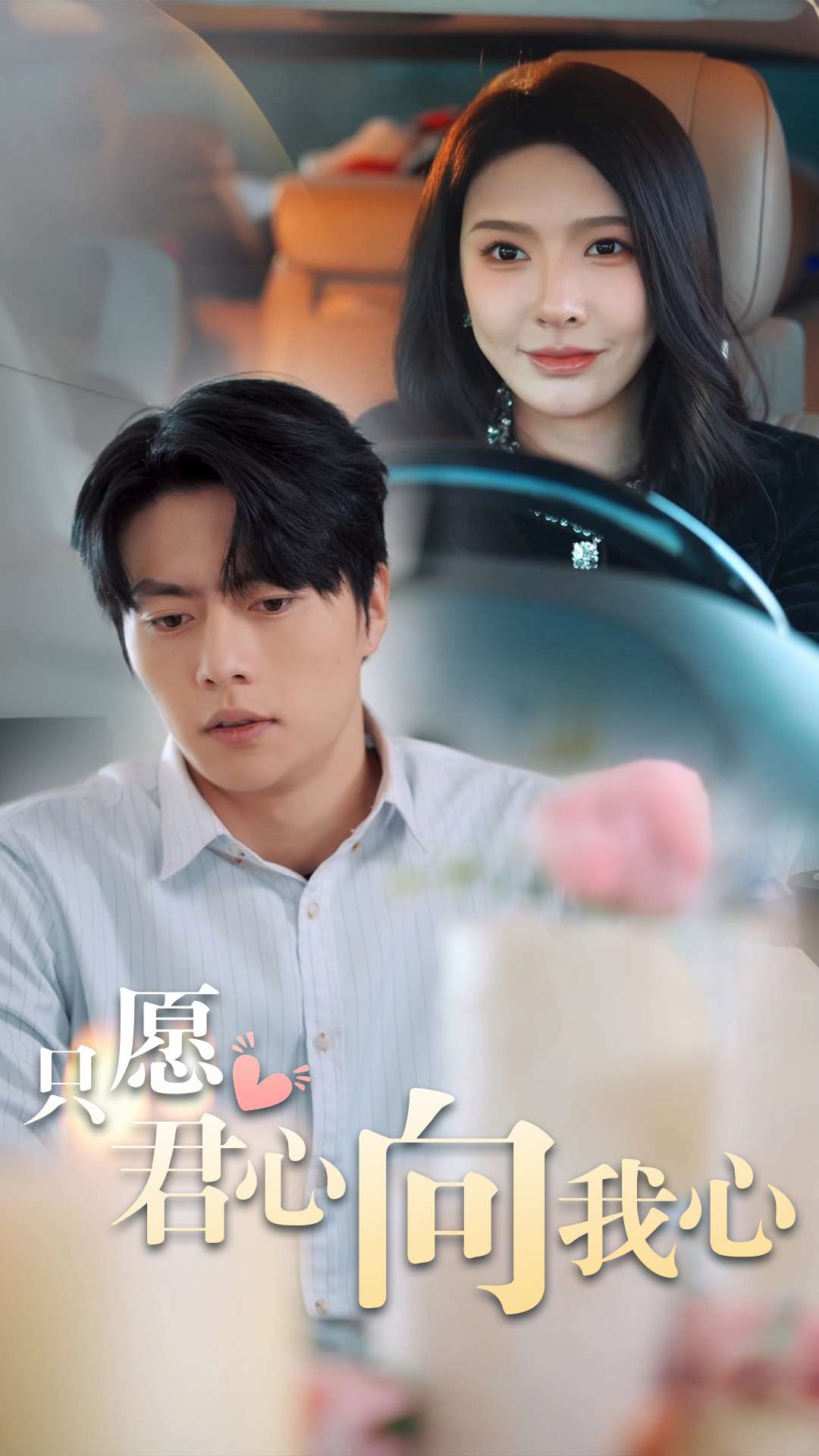 只愿君心向我心全集