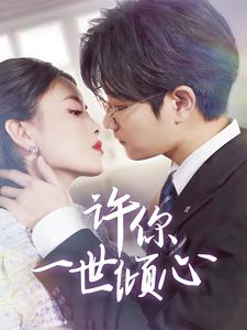 许你一世倾心全集