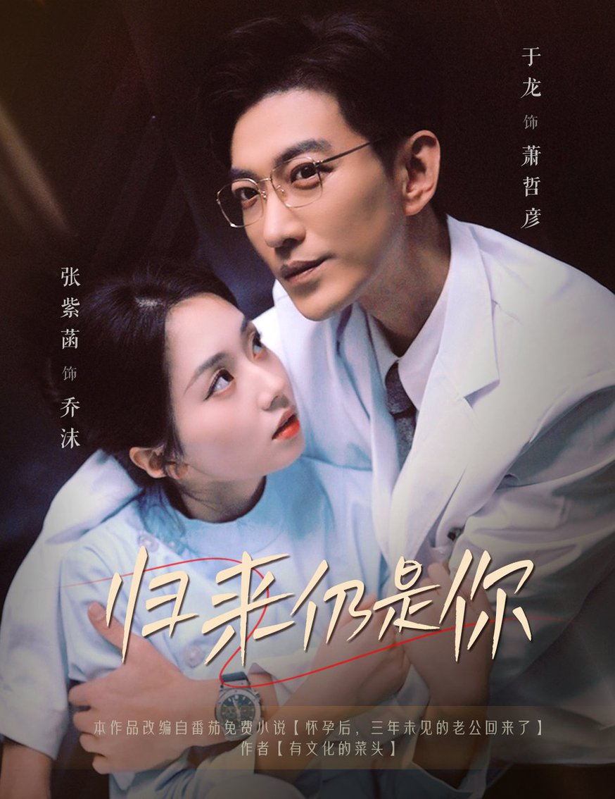 归来仍是你全集