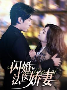 闪婚法医娇妻全集