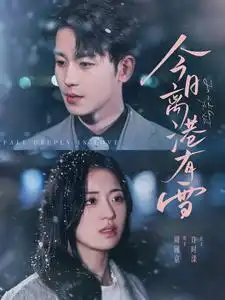 今日离港有雪全集