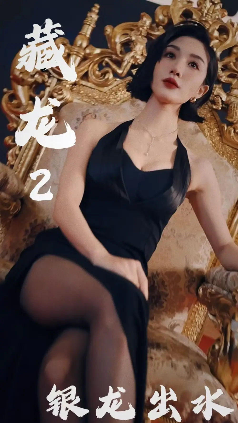 藏龙2银龙出水全集