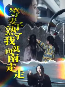 等麦子熟了我就向南走走全集