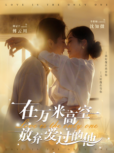 在万米高空放弃爱过的他全集