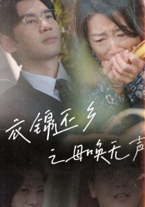 衣锦还乡之母唤无声全集