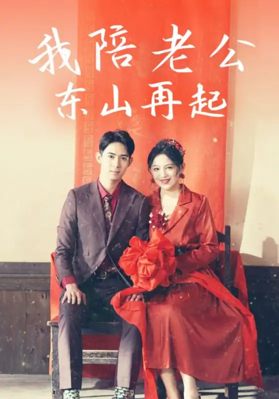 我陪老公东山再起全集