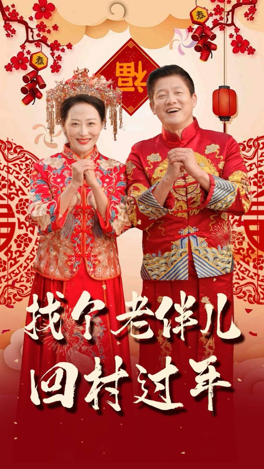 找个老伴儿回村过年全集