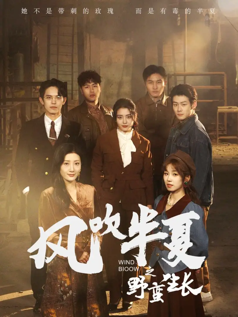 风吹半夏之野蛮生长全集