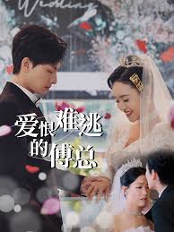 爱恨难逃的傅总全集