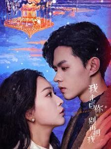 我走后你别再想我全集