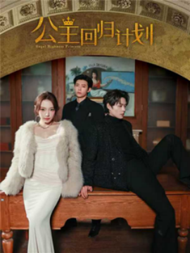 公主回归计划全集