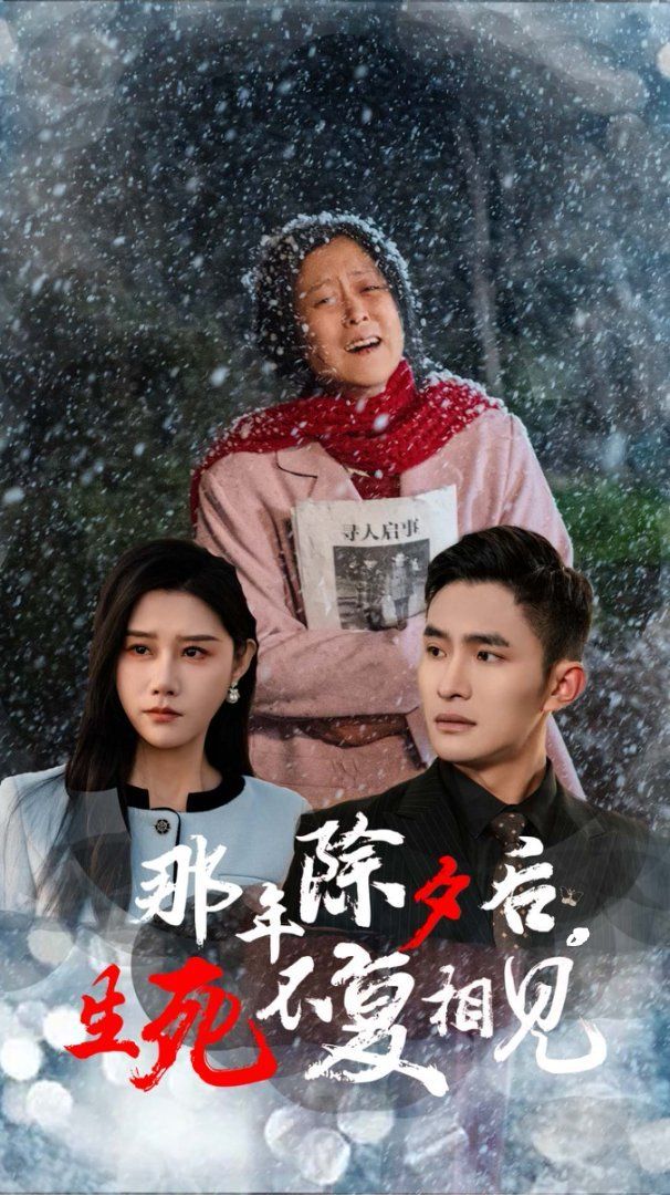 那年除夕后生死不复相见全集