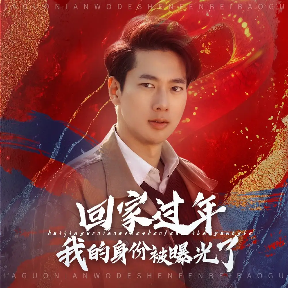 回家过年我的身份被曝光了全集