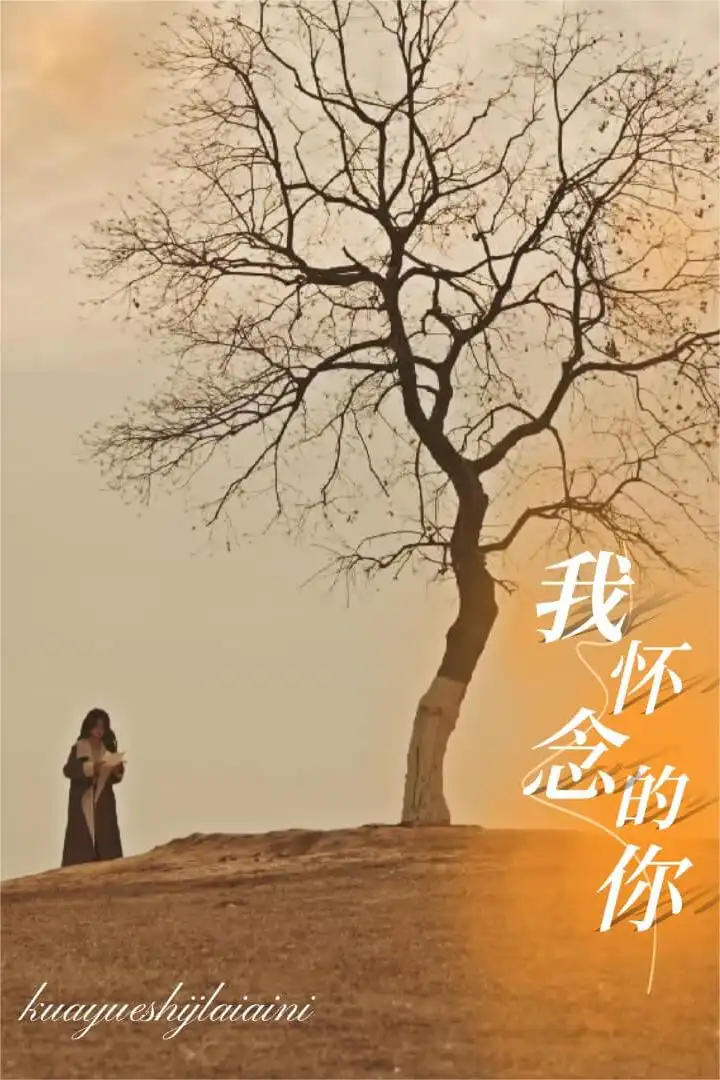 我怀念的你 跨越时间来爱你全集