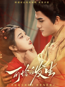 可怜白发生全集