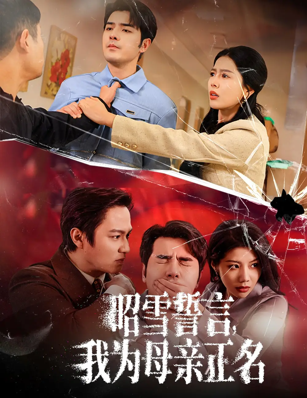 昭雪誓言我为母亲正名全集