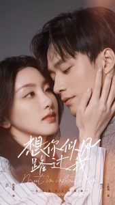 想你似风路过我全集