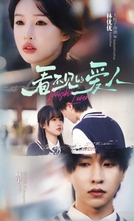 看不见的爱人全集